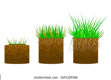 Set Of Grass With A Ground Isolated On White Background. Dirt Layers. Soil Layer Scheme With Grass, Roots And Earth Texture. Cross Section Ground Slice. Piece Of Land With Green Grass. Stock Vector