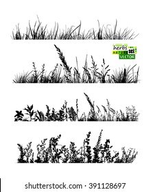 Set grass horizontal line. Vector