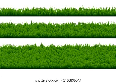 Set of grass isolated on white background.