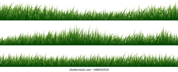 Set of grass isolated on white background.