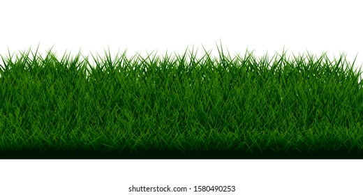 Set of grass isolated on white background.