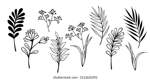 Set of grass and leaves in hand drawn sketch style. Line art. Ink drawing. Black and white botany elements. Isolated on white.