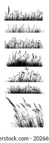 Set of grass lines. Herbal horizontal background. Vector Illustration.