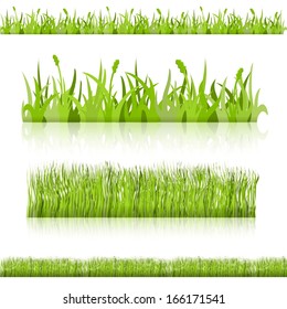 Set grass. samples for different uses. Vector image.