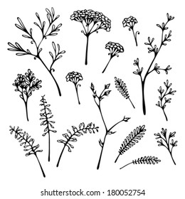 Set of grass silhouettes isolated on white background. Various hand-drawn grass and floral elements for your design.