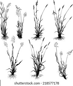 Set Of Grass Silhouettes With Roots, Cereal Plants, Hand Drawn Vector Illustration