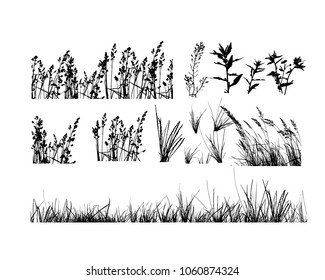 245,368 Meadow drawing Images, Stock Photos & Vectors | Shutterstock