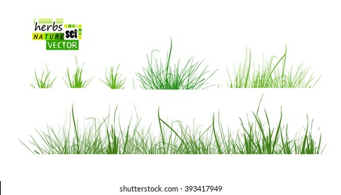 Set Grass. Vector