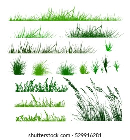 Set grass. Vector