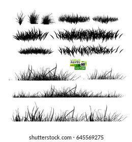 Set of grass. Vector