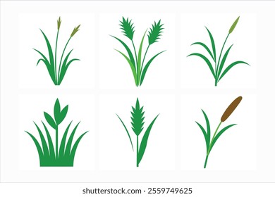 set of grass vector illustration