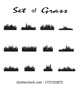 Set of grass vector illustration. Isolated on white