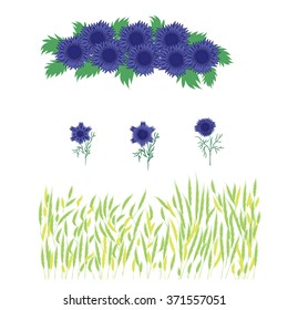 Set of grass wheat   and blue flowers  wreath of cornflowers   isolated on white background   decor spring  vector