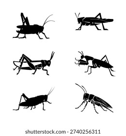 Set of grasshopper and cricket silhouettes in side view isolated on white background. Suitable for biology, pest control, farming and wildlife design themes.