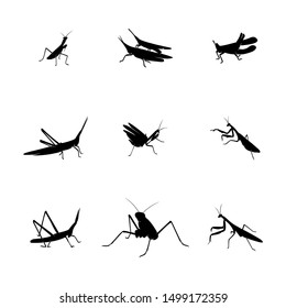 Set of Grasshopper Logo Design Vector Illustration. Grasshopper Design Template