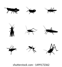 Set of Grasshopper Logo Design Vector Illustration. Grasshopper Design Template