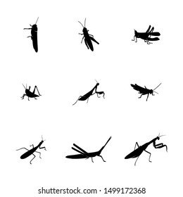 Set of Grasshopper Logo Design Vector Illustration. Grasshopper Design Template