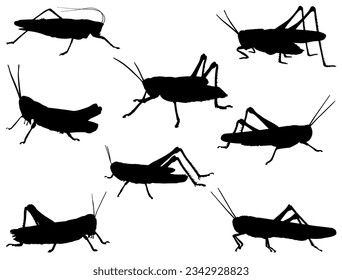 Set of Grasshopper silhouette vector art