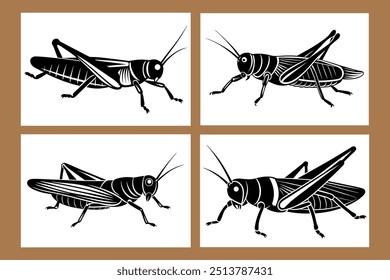 Um conjunto de ilustrações vetoriais de Gafanhotos