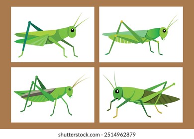 Un conjunto de Grasshoppers Ilustración vectorial