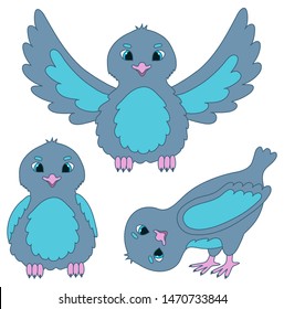 Set gray blue birds in flat style. Vector illustraion