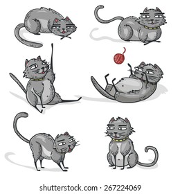 Set of gray cartoon cats. Cats play, sleep, lay. Vector.