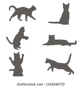 Set of gray cat silhouette. cat sitting, walking, playing, different cats vector 