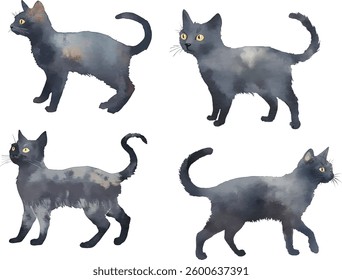 set of Gray Cat Watercolor Painting - Isolated on White vector illustration