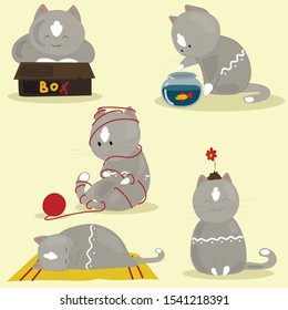 
Set with a gray cute cat