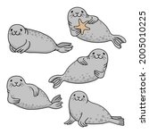 Set of gray fur seals. Vector hand drawn cute cartoon fur seal  isolated on white background. Ocean animal illustration.