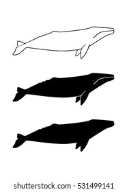 Set Gray Whale Icons Vector Illustration Stock Vector (Royalty Free ...