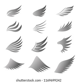 Set of gray wings on white background