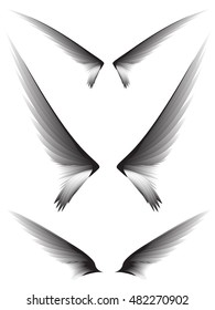 Set gray wings on white background, design element