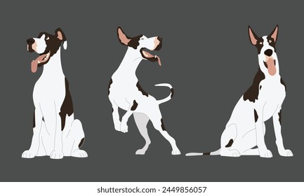 Set of great dane  Dog Vector Illustration