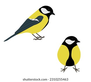 Juego de Gran Pájaro. Parus mayor aislado en el fondo blanco. Pájaro passerino. Ilustración vectorial.