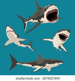 set of great white shark vector