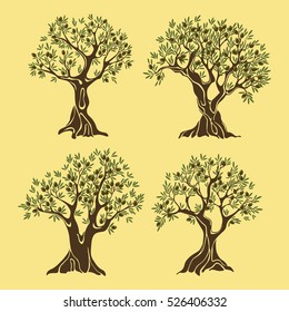 Set of greek olive oil trees in vintage style. Nature fruit plant with berries and foliage crown, branches. Bottle label or sticker, grove banner, vegetarian food or drink emblem, agriculture theme