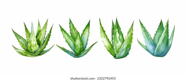 Conjunto de acuarela de aloe vera verde aislado sobre fondo blanco. Ilustración del vector