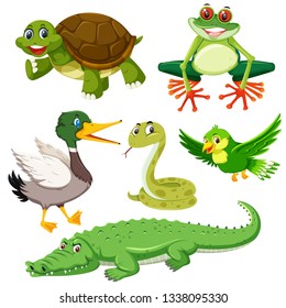 Set of green animal illustration