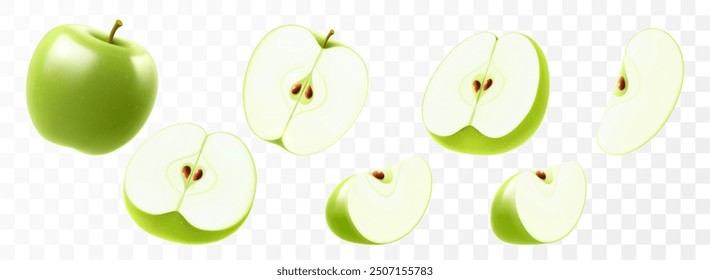 Set of green apple isolated on transparent background. Whole, half and slices of a delicious apple. Summer harvest. Natural product. Realistic 3d vector illustration, . Template for your summer design