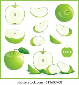 Set of green apple in pieces, whole, slice and half in vector format isolated on white
