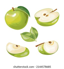 Set of green apples fruit with leaf in vector and various styles
