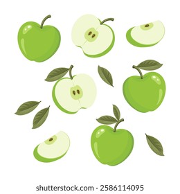 Set of green apples with leaves isolated on white background. Whole, half and slices of ripe juicy fruit. Summer harvest. Illustration