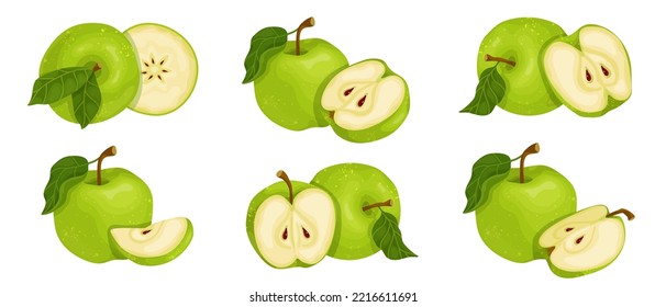 Set of green apples with leaves and pieces of juicy fruit.Cartoon vector graphics.