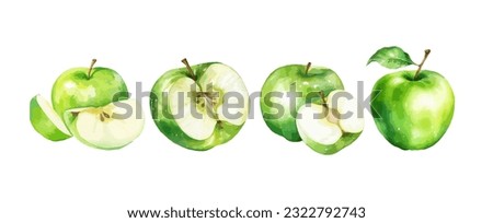 Set of green apples watercolor isolated on white background. Vector illustration