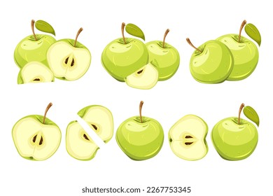 A set of green apples.Whole apples, sliced, cut in half, into quarters.Ripe, juicy, green fruits.Vector illustration.