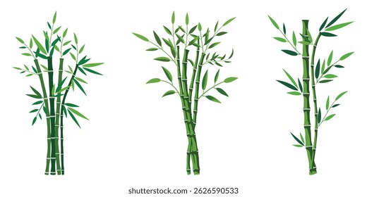 Set of Green Bamboo plants. Vector Bamboo Collection with Distinct Artistic Styles. Perfect for eco-friendly Asian-inspired designs