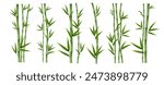 A set of green bamboo stems, branches and leaves