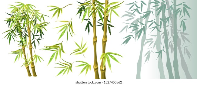 Set green bamboo stems and leaves isolated on white background. Vector illustration. Elements for computer games.