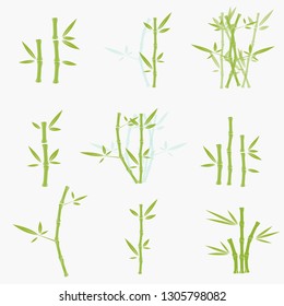 set of green bamboo vector illustration